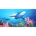 Biggies Scenes Wall Murals-Shark Reef, 54 in wide x 27 in high BG-WM-SRF-54
